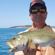 Troy Honey's Instagram, Twitter & Facebook