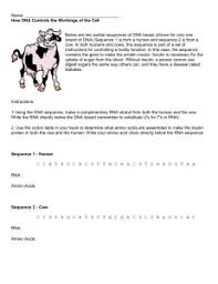 Changes in the dna code are called mutation and they can cause a protein to not function properly. Investigation Dna Proteins And Mutations Cow Worksheet Answers 160 Dna Rna The Central Dogma Ideas In 2021 Teaching Biology Biology Classroom Biology Lessons However I Was Wondering If A Potential