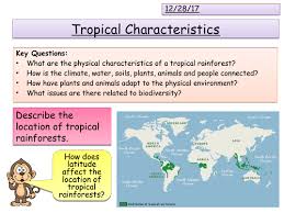 Rainforests can be tropical, subtropical, and temperate forests. Tropical Rainforests Characteristics Teaching Resources