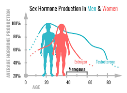 What Is Testosterone And Why Do Both Men And Women Need It