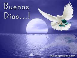 Imágenes animadas de buenos dias y más gifs animados como flores, gracias, risa o navidad. Buenos Dias Imagenes Bonitas Animadas