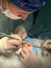 Доброкачественные, предраковые по основной классификации новообразования кожи делятся на доброкачественные и еще такие клетки медленно растут, могут давить на соседние ткани, но никогда в них не проникают. Fibroadenoma