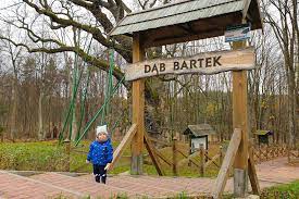 Na jego pni od strony po łudniowej zawieszone są dwie figury ukrzyżowanego c hrystusa. Slynny Dab Bartek I Inne Atrakcje Gminy Zagnansk Krakow Z Dzieckiem Pl