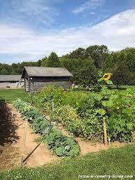 Country Garden With Heirloom Flowers And Vegetables Country Gardening Vegetable Garden Layout Design Garden Layout Vegetable