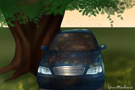 Wipe the wiper blades down with rubbing alcohol. How To Get Sap Off A Car Yourmechanic Advice