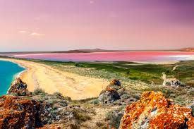 We did not find results for: Pink Lakes Rosa Seen Gibt Es Nicht Nur Im Marchen Urlaubsguru