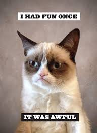 I Had Fun Once It Was Awful Funny Grumpy Cat Memes Grumpy Cat Quotes Grumpy Cat Humor