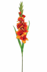 36 6 Inch Tall Gladiolus Stem In Vibrant Red Orange That Is A Flame Color Shop Afloral Com For Gladiolus Flower Gladiolus Flower Tattoos Birth Flower Tattoos