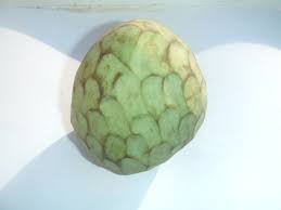 Cherimoya is a delightful fruit and has won praises and fans across the globe, there are several ways to consume cherimoya. Cherimoya Wikidata