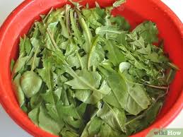 11.10.2019 · some also recommend washing with water and vinegar prior to cooking dandelion greens to remove all dirt. How To Cook Dandelion Greens 15 Steps With Pictures Wikihow