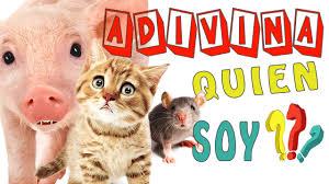 3,623 likes · 497 talking about this. Adivina Quien Soy 1 Videos Para Ninos Pequenos Adivinanzas Infantiles Con Los Animales En Espanol