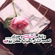 كلام جميل عن الورد 2017 Arabic Quotes Imgfave Qoutes