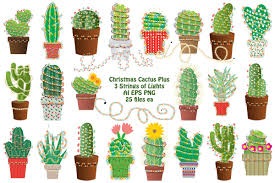 We believe in helping you find the product that is if you are interested in christmas cactus plants, aliexpress has found 912 related results, so you can compare and shop! Christmas Cactus Ai Eps Png By Me And Amelie Thehungryjpeg Com