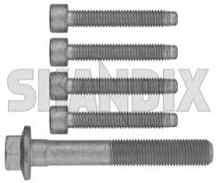 It is shaped in a hexagon so that it is easy and firm to grip from all sides. Skandix Shop Volvo Parts Central Bolt Kit 32213095 1054789