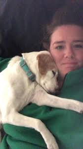 Expressive Aussie Dogs and Their Owners