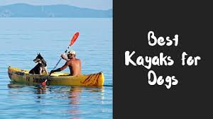 The only thing that could make it better is you can take your dog with you. 10 Best Kayaks For Dogs The Ultimate Guide In 2019 Paddler S Way