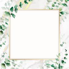 Download Premium Vector Of Hand Drawn Eucalyptus Leaf With Square Gold How To Draw Hands Flower Background Wallpaper Flower Frame