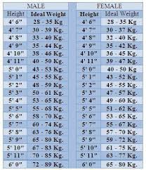 bodybuilding diet height to weight chart weight charts