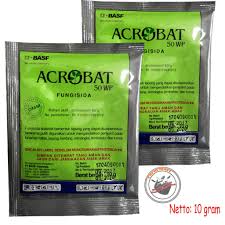 We did not find results for: Fungisida Acrobat 50 Wp Obat Pengendali Busuk Buah Dan Busuk Daun 10 Gram Shopee Indonesia