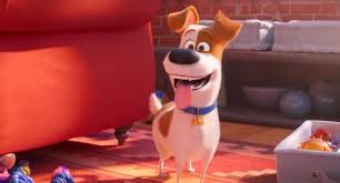 Illumination Unleashes The Max Trailer For The Secret Life Of Pets 2 Rotoscopers Secret Life Of Pets Secret Life Pets Movie