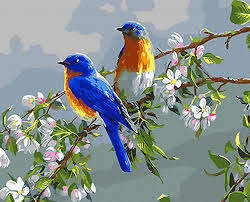 Christmas waves a magic wand over this world, and behold, everything is softer and more beautiful. Buy Diy Paint By Numbers Kits For Adults Beginner Easy Oil Painting Christmas Gift Lovebirds Paints On Canvas For Art Wall Decor 16x20inch Online In Turkey B07pgfxhjm