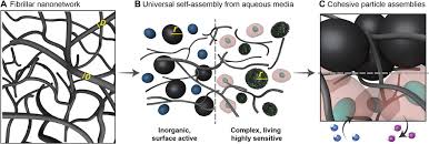 Interested in flipbooks about dskp kssm mathematics form 4(dlp)? Nanofibrillar Networks Enable Universal Assembly Of Superstructured Particle Constructs Science Advances