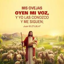 Un pastor asalariado es alguien que solo. 100 Ideas De El Buen Pastor El Buen Pastor Jesus Buen Pastor Imagenes Religiosas