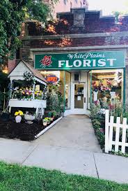 Maybe you would like to learn more about one of these? Best Florists Flower Delivery In White Plains Ny 2021