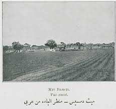 ميت دمسيس منظر البلده من غربي in 2021 blog posts blog post