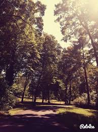 Meiningen Englischer Garten Outdoor Country Roads Celestial