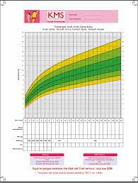 Meski demikian, isi kms telah. Mengenal Kartu Menuju Sehat Cara Mengisi Dan Mengartikannya
