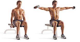 Shrugging the shoulders excessively, hunching forward, and leaning back. Seated Dumbbell Lateral Raise Bodybuilding Wizard