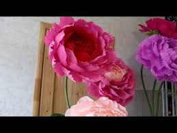 как сделать розу из гофрированной бумаги мастер класс видео Pion Iz Bumagi S Krepleniem Na Stenu 1 Giant Peony 1 Obustroeno Eng Subtitles Youtube Cvety Iz Papirosnoj Bumagi Bumazhnyj Cvetok Uchebnik Cvety