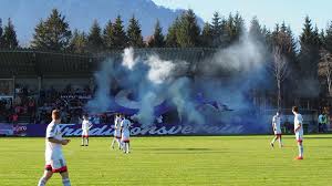 Admira austria wien hartberg lask rapid wien rheindorf altach ried salzburg st. Fc Puch Sv Austria Salzburg Ultra Szene Osterreich Facebook