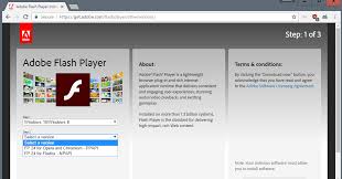 To get this, open the adobe website and select the icon to get adobe flash player. Adobe Flash Player Free Download For Windows 8 Lohaldefes
