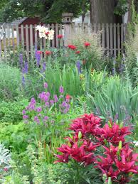 Jacob Kline Monarda Stachys Hummelo Larkspur Lilies Larkspur Plants Garden