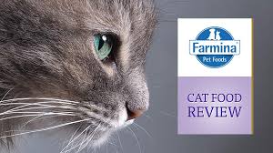 The catological verdict on farmina dry cat food. Farmina Cat Food Review Cat Reviews