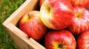 Selain melancarkan bab buah ini juga kaya nutrisi untuk mengembalikan kekebalan tubuh. Cara Melancarkan Bab Yang Keras Tiap Hari Pada Anak Dan Bayi Secara Alami Lifestyle Fimela Com