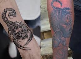 50 Scorpion Tattoo Design Ideas For Men Legit Ng