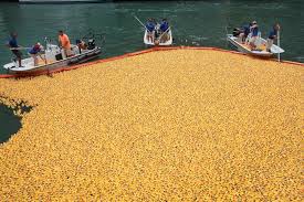 PHOTOS: 50K Rubber ducks dumped into Chicago River for Ducky Derby |  WHNT.com