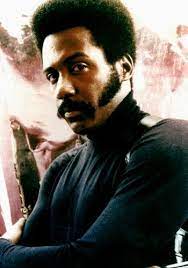 The 30 Coolest Films Ever African American Movies Blaxploitation Film Richard Roundtree