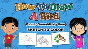 See more fan art related to #sample. How To Draw A Bird Paano Gumuhit Ng Ibon Sketch To Color Bibong Batang Pinoy Channel Youtube