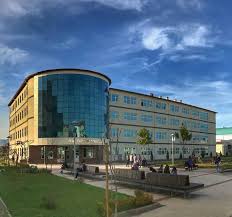 Öyleyse en temel soruyla başlıyorum. Ordu Universitesi Biyoloji Bolumu Molekuler Biyoloji Ve Genetik Bolumu Home Facebook