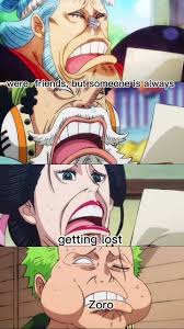 I think that Zoro is the only member in straw hats who kills his  opponents...