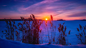 Winter Sunset 4k Ultra Hd Wallpaper Achtergrond 3840x2160 Id 737901 Wallpaper Abyss This image was upload at july 27, 2020 upload in nature. winter sunset 4k ultra hd wallpaper