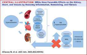 Image result for Aldosterone