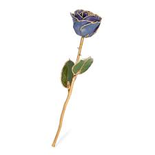 We did not find results for: 24k Gold Forever Rose Tanzanite December Birthstone The Forever Rose