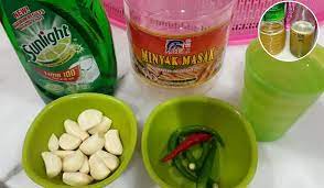 Jadi, pastinya anda sedang mencari resepi racun organik buatan sendiri di rumah yang selamat. Guna Bahan Dapur Untuk Buat Racun Organik Begini Stepnya Mudah Je Keluarga