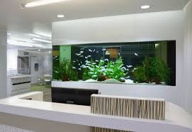 Built In Fish Tank Calming And Helps A Stress Free Environment Fish Tank Wall Aquarium Design Wall Aquarium