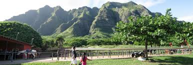 Image result for Kuloa